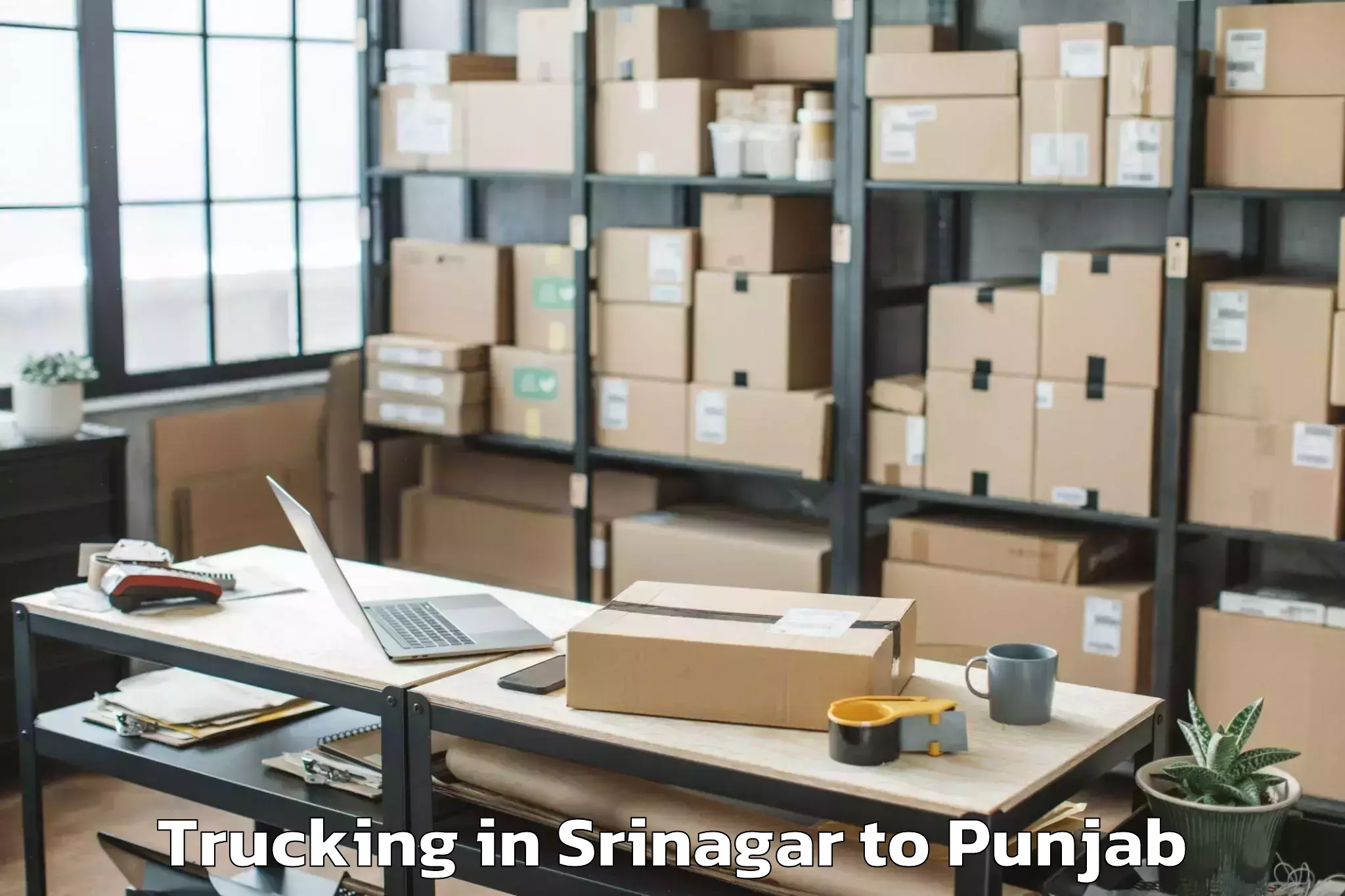 Srinagar to Dhuri Trucking Booking